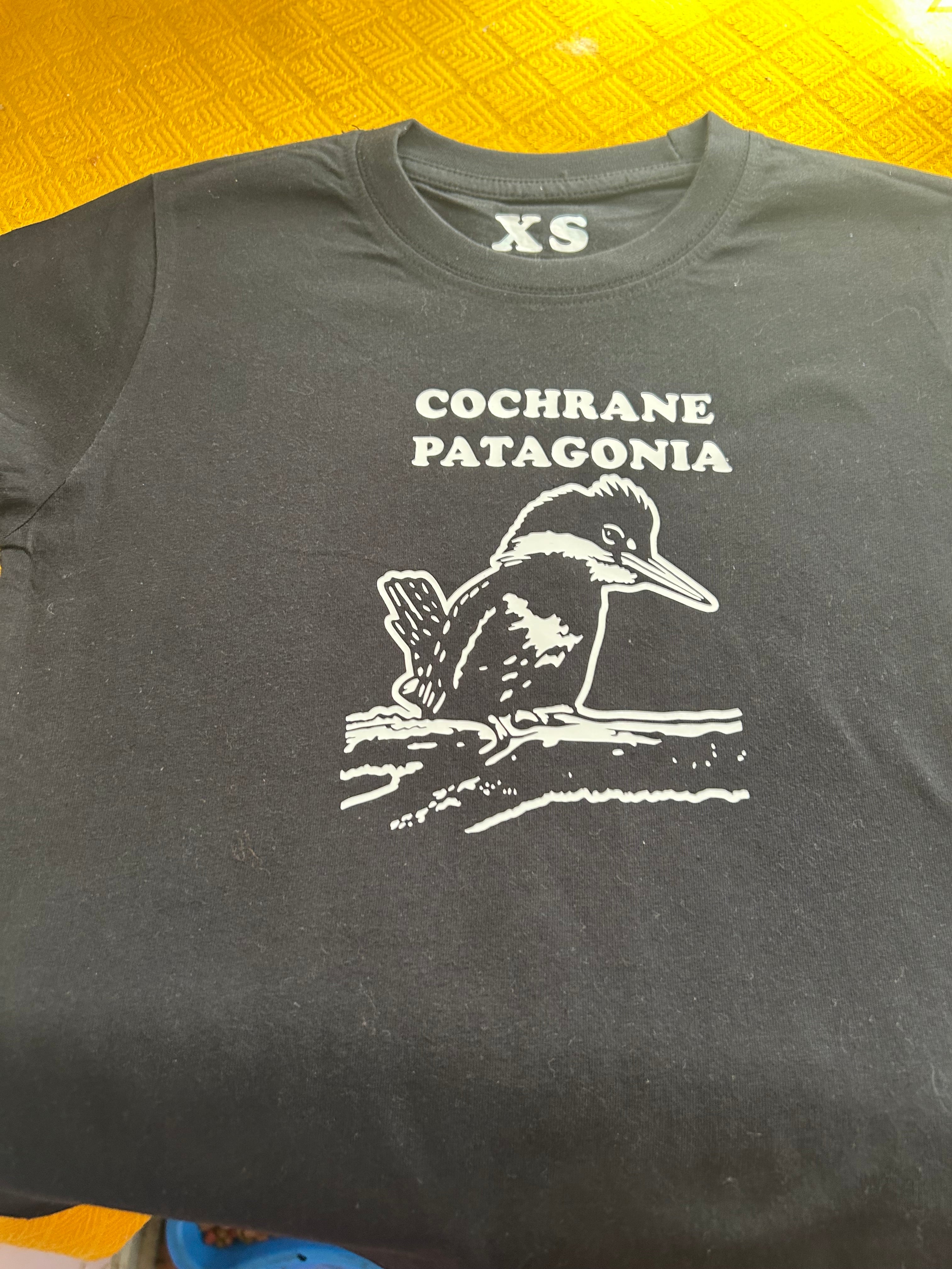 Polera Cochrane Martín pescador